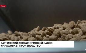 Гатчинский комбикормовый завод наращивает производство