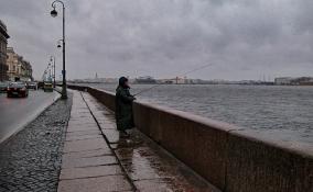 В Петербурге 1 декабря завершится сезон электросамокатов