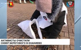 Активисты очистили сквер Берегового в Енакиево