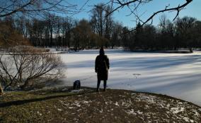 Жителей Петербурга ожидает облачная погода без осадков 1 декабря