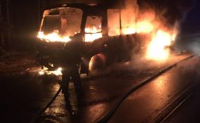 У деревни Тикопись в Ленобласти сгорел рейсовый автобус