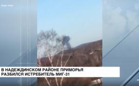 В Минобороны подтвердили крушение истребителя МиГ-31
в Приморском крае