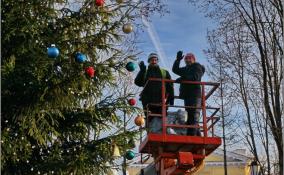 В Гатчине наряжают ёлку в Ленинском сквере