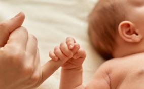 Названы самые популярные имена новорожденных в Ленобласти