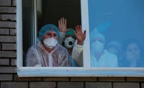 Ещё 29 человек в Ленобласти заразились коронавирусом за сутки