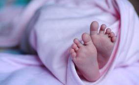 Более 200 детей родилось в Ленобласти за прошедшую неделю