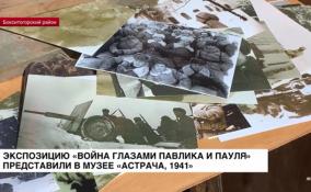 В музее «Астрача, 1941» открылась новая экспозиция «Война глазами
Павлика и Пауля»