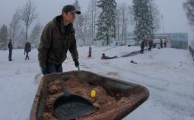 Жителей Ленобласти ожидают снегопады и гололедица 7 декабря