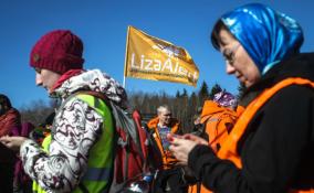 В ноябре поисковый отряд «Лиза Алерт» нашёл в Ленобласти 150 пропавших жителей