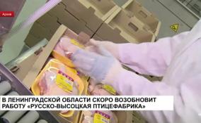 В Ленобласти в конце декабря возобновит работу «Русско-Высоцкая» птицефабрика