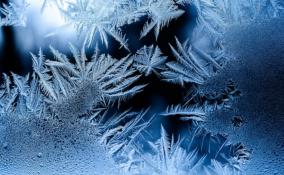 Снег и -9 градусов: синоптики рассказали о погоде 9 декабря в Ленобласти