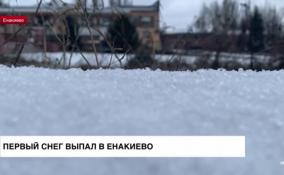 В Енакиево выпал первый снег