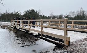 На месте разрушенной переправы в деревне Морозова появился новый мост