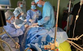 В Петербурге хирурги первыми в России провели операцию на еще не родившемся ребенке