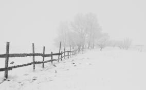 Снегопады, метель и морозы до -11 ожидаются в Ленобласти 12 декабря