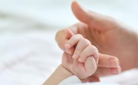Свыше 230 новорожденных появилось в Ленобласти за прошедшую неделю
