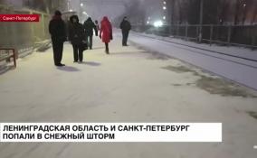Ленобласть и Петербург попали в снежный шторм