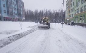 Снег, гололед и ветер до 15 м/с: синоптики рассказали о погоде 13 декабря в Ленобласти