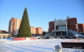 В Сосновом Бору торжественно откроют центральную новогоднюю ёлку 15 декабря