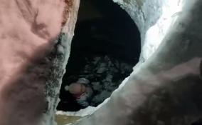 Видео: спасатели Ленобласти вызволили упавшую в люк 6-летнюю девочку в Отрадном